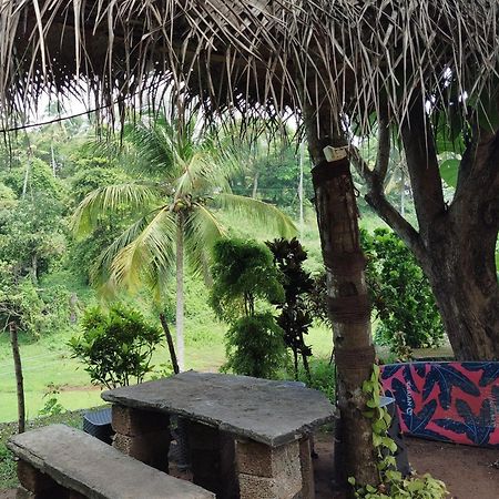 Joseph Dale Homestay فاركَالا المظهر الخارجي الصورة