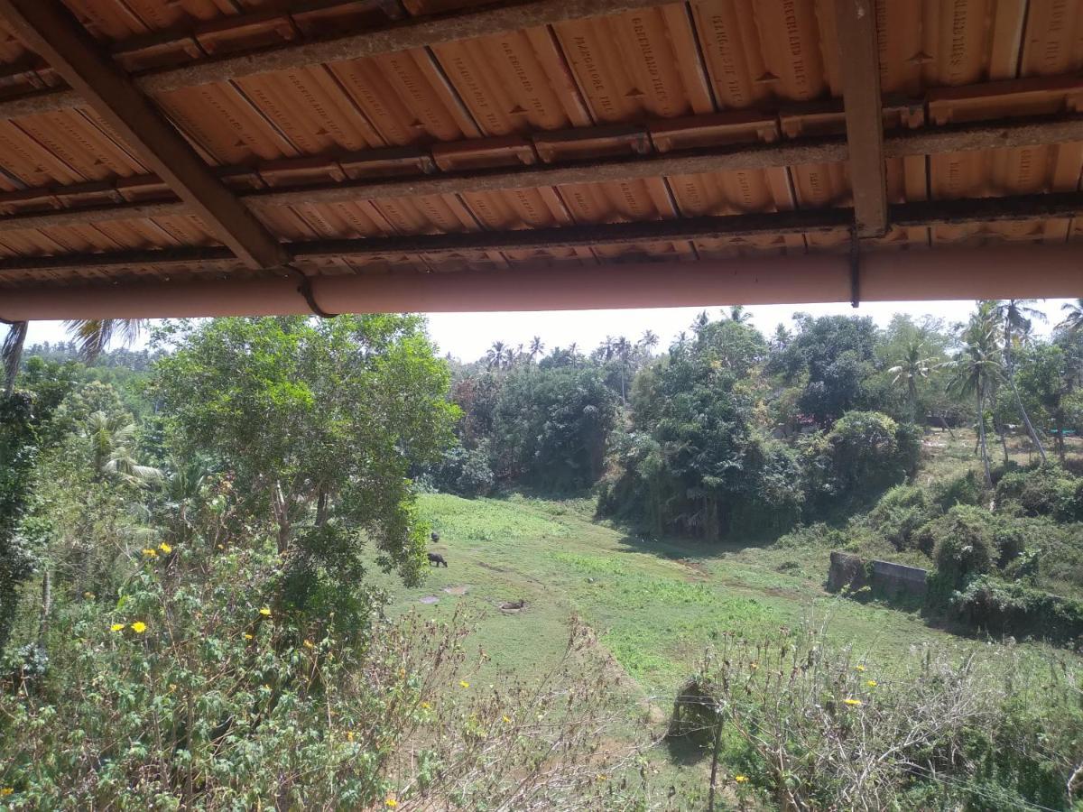 Joseph Dale Homestay فاركَالا المظهر الخارجي الصورة